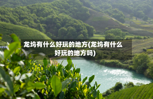 龙坞有什么好玩的地方(龙坞有什么好玩的地方吗)
