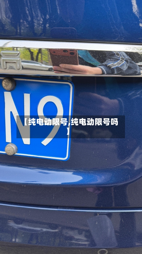 【纯电动限号,纯电动限号吗】
