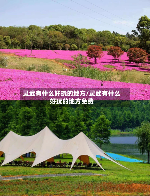 灵武有什么好玩的地方/灵武有什么好玩的地方免费