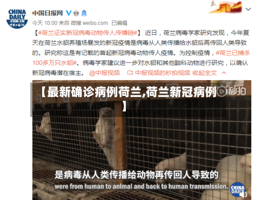 【最新确诊病例荷兰,荷兰新冠病例】-第1张图片
