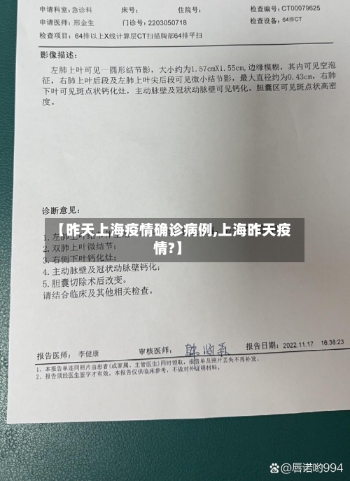 【昨天上海疫情确诊病例,上海昨天疫情?】-第2张图片
