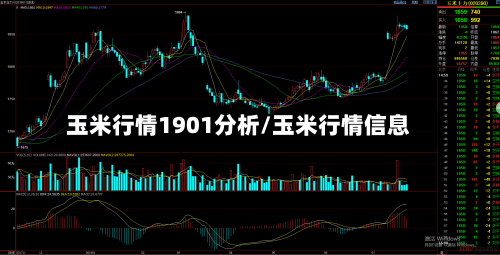 玉米行情1901分析/玉米行情信息-第3张图片