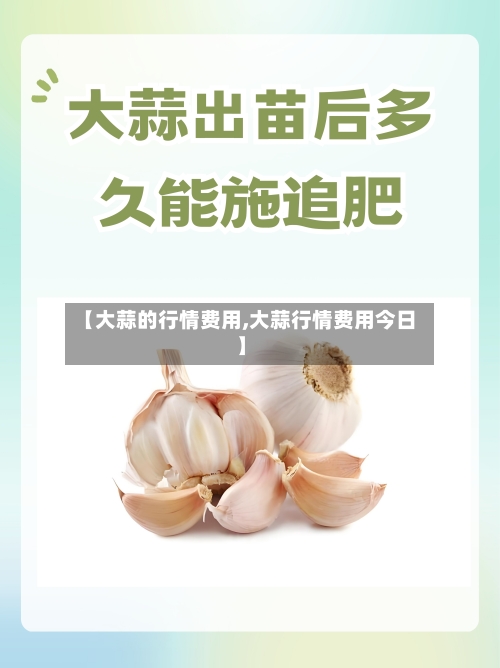 【大蒜的行情费用,大蒜行情费用今日】-第2张图片