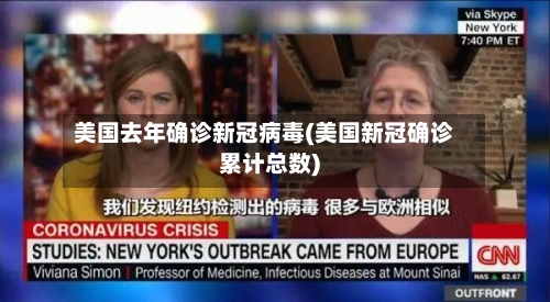 美国去年确诊新冠病毒(美国新冠确诊累计总数)-第2张图片