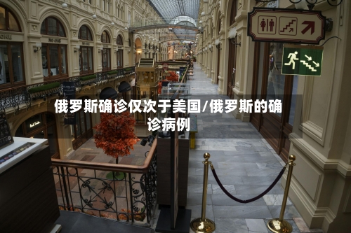 俄罗斯确诊仅次于美国/俄罗斯的确诊病例