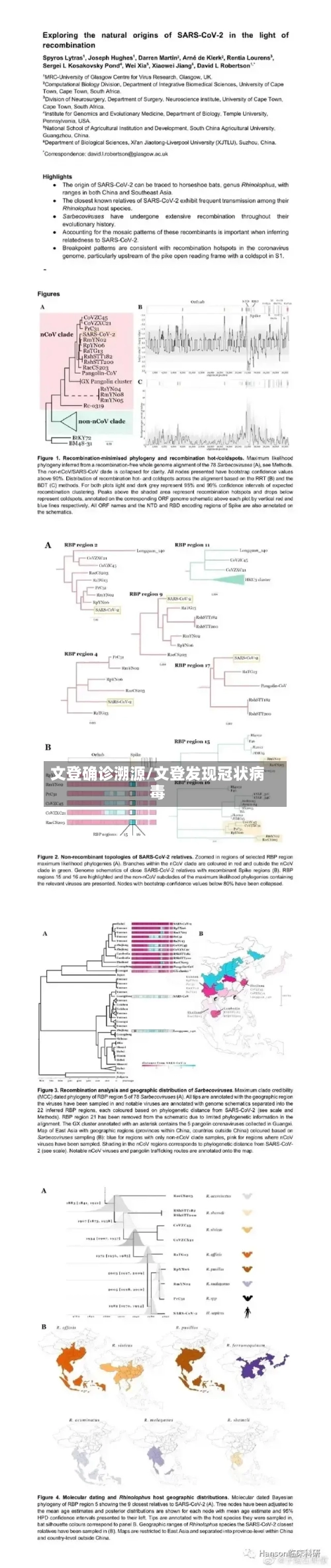 文登确诊溯源/文登发现冠状病毒