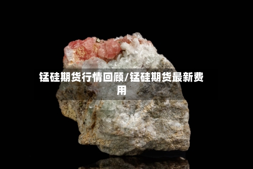锰硅期货行情回顾/锰硅期货最新费用
