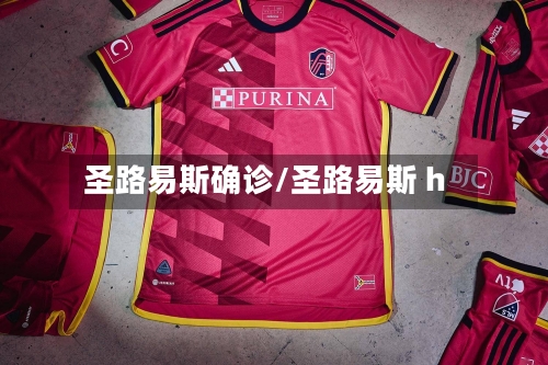 圣路易斯确诊/圣路易斯 h