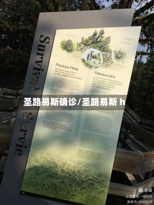 圣路易斯确诊/圣路易斯 h-第2张图片
