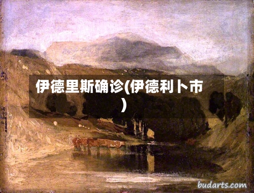 伊德里斯确诊(伊德利卜市)-第2张图片