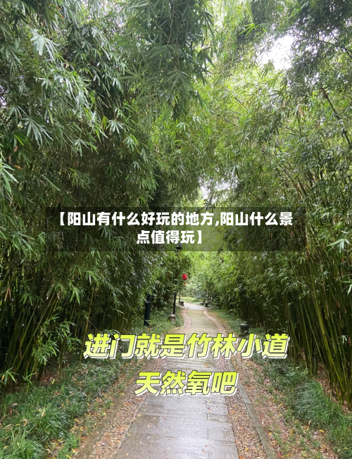 【阳山有什么好玩的地方,阳山什么景点值得玩】-第3张图片