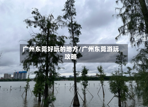 广州东莞好玩的地方/广州东莞游玩攻略-第3张图片