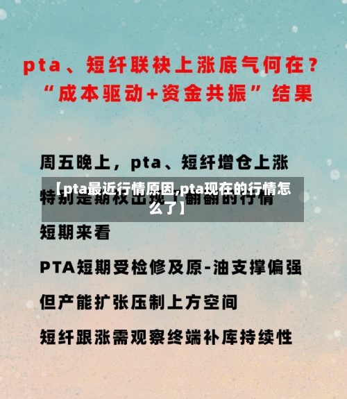 【pta最近行情原因,pta现在的行情怎么了】