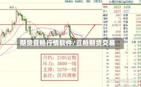 期货豆粕行情软件/豆粕期货交易-第3张图片