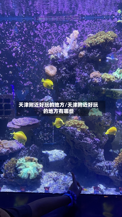 天津附近好玩的地方/天津附近好玩的地方有哪些