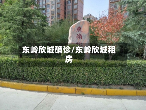 东岭欣城确诊/东岭欣城租房