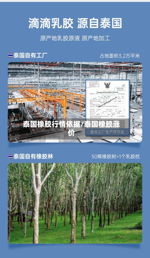泰国橡胶行情依据/泰国橡胶涨价-第2张图片