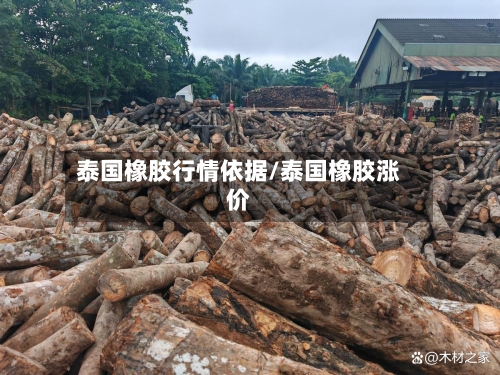 泰国橡胶行情依据/泰国橡胶涨价