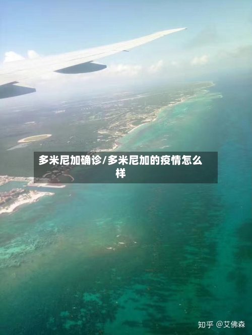 多米尼加确诊/多米尼加的疫情怎么样-第2张图片