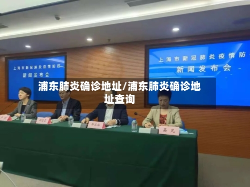 浦东肺炎确诊地址/浦东肺炎确诊地址查询-第3张图片