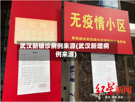 武汉新确诊病例来源(武汉新增病例来源)-第2张图片