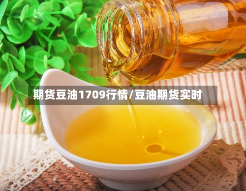 期货豆油1709行情/豆油期货实时