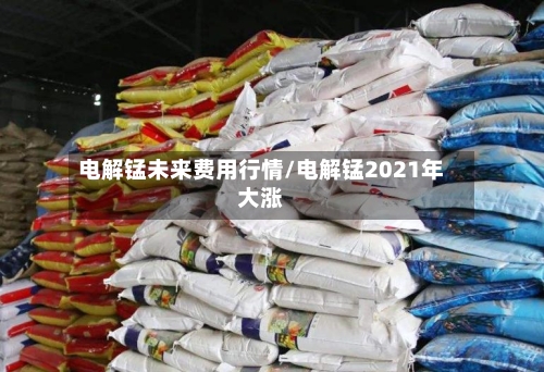 电解锰未来费用行情/电解锰2021年大涨-第3张图片