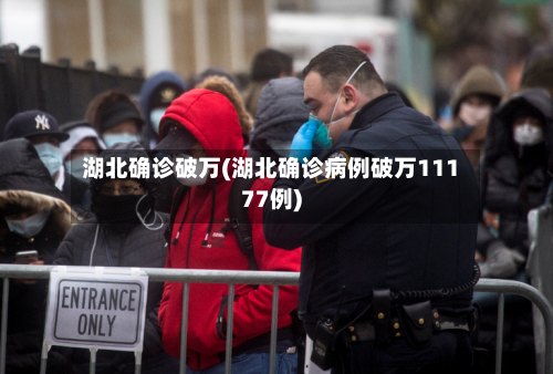 湖北确诊破万(湖北确诊病例破万11177例)