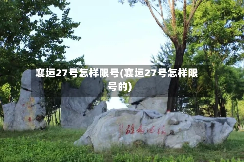 襄垣27号怎样限号(襄垣27号怎样限号的)