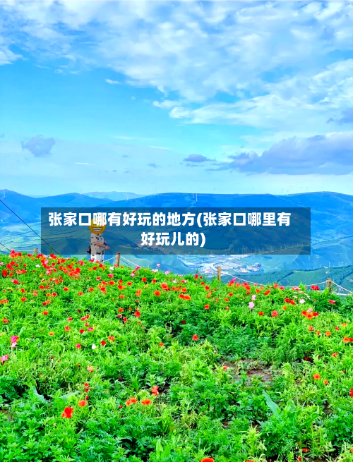 张家口哪有好玩的地方(张家口哪里有好玩儿的)