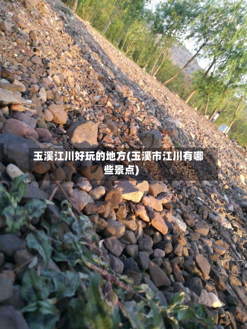 玉溪江川好玩的地方(玉溪市江川有哪些景点)-第3张图片
