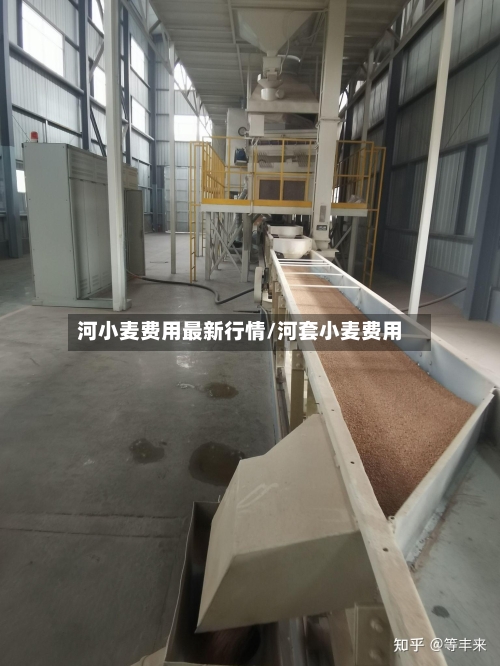 河小麦费用最新行情/河套小麦费用-第1张图片