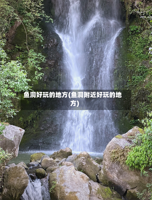鱼洞好玩的地方(鱼洞附近好玩的地方)
