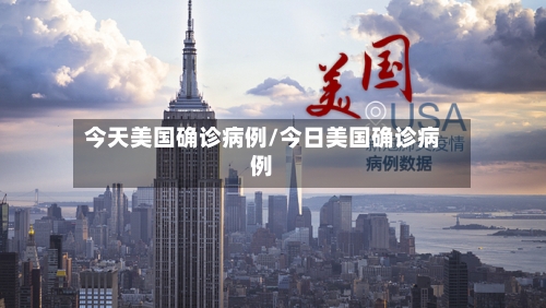 今天美国确诊病例/今日美国确诊病例-第2张图片