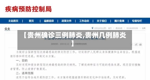 【贵州确诊三例肺炎,贵州几例肺炎】-第2张图片