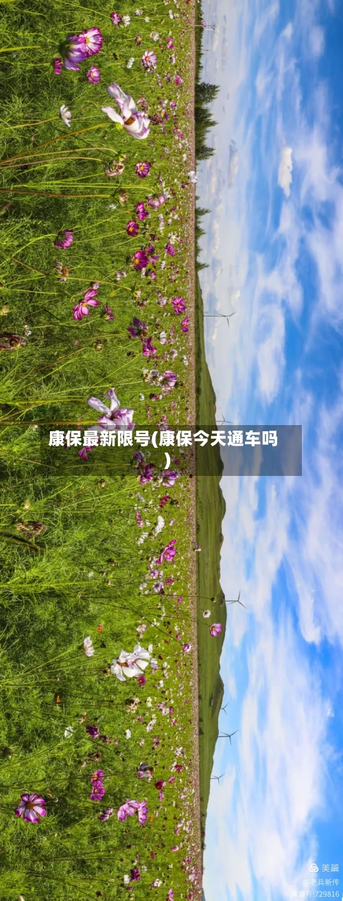 康保最新限号(康保今天通车吗)-第2张图片