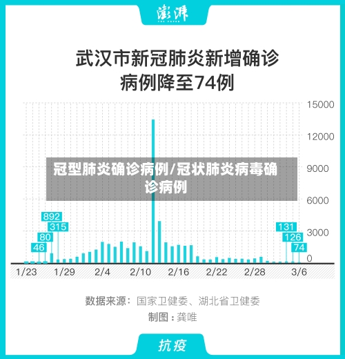 冠型肺炎确诊病例/冠状肺炎病毒确诊病例-第1张图片
