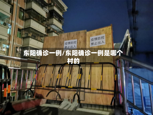 东阳确诊一例/东阳确诊一例是哪个村的