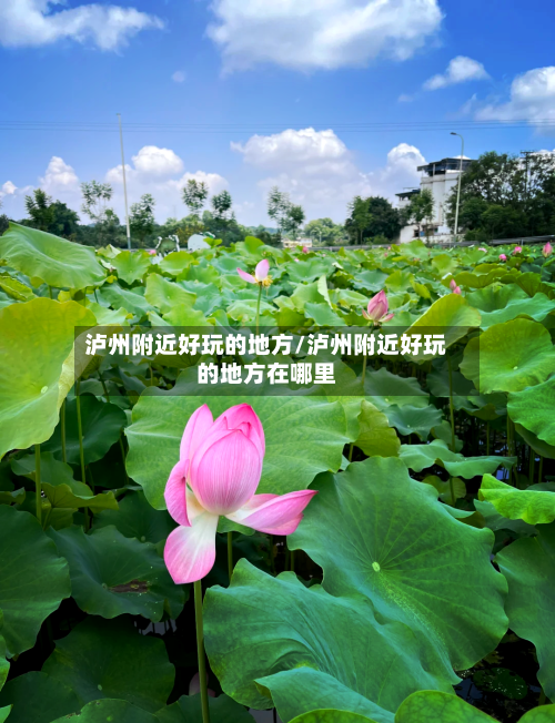 泸州附近好玩的地方/泸州附近好玩的地方在哪里-第3张图片