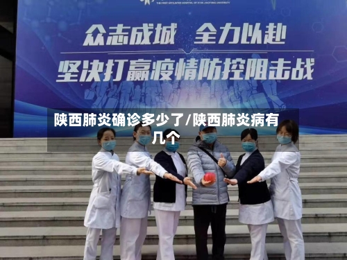 陕西肺炎确诊多少了/陕西肺炎病有几个