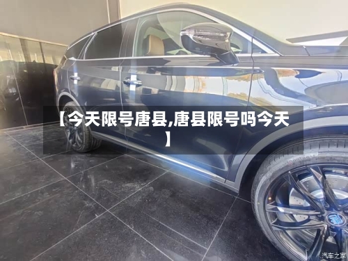 【今天限号唐县,唐县限号吗今天】-第2张图片