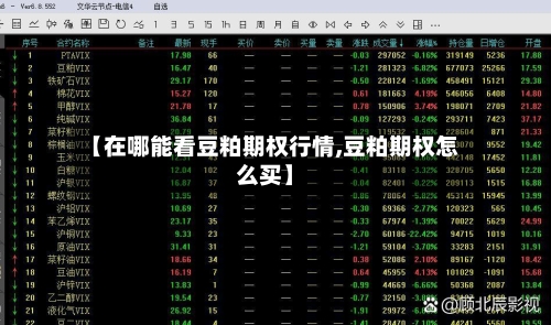 【在哪能看豆粕期权行情,豆粕期权怎么买】-第1张图片
