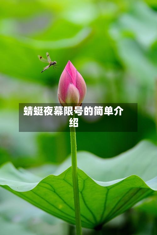 蜻蜓夜幕限号的简单介绍