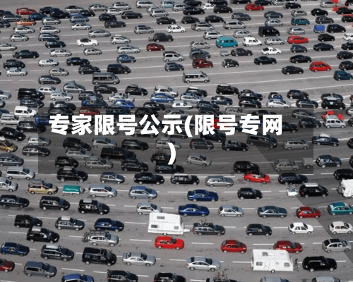 专家限号公示(限号专网)-第2张图片