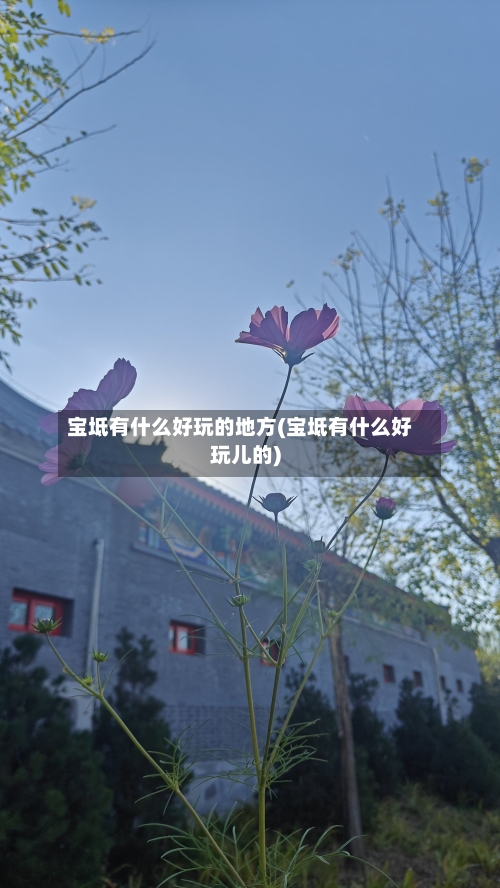 宝坻有什么好玩的地方(宝坻有什么好玩儿的)-第2张图片