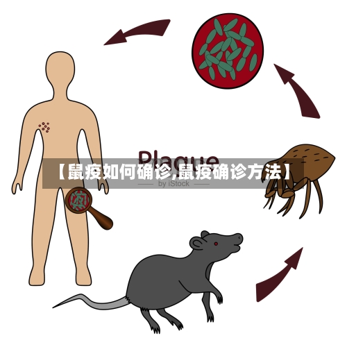 【鼠疫如何确诊,鼠疫确诊方法】