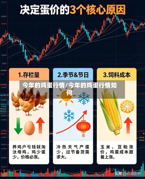 今年的鸡蛋行情/今年的鸡蛋行情如何-第1张图片