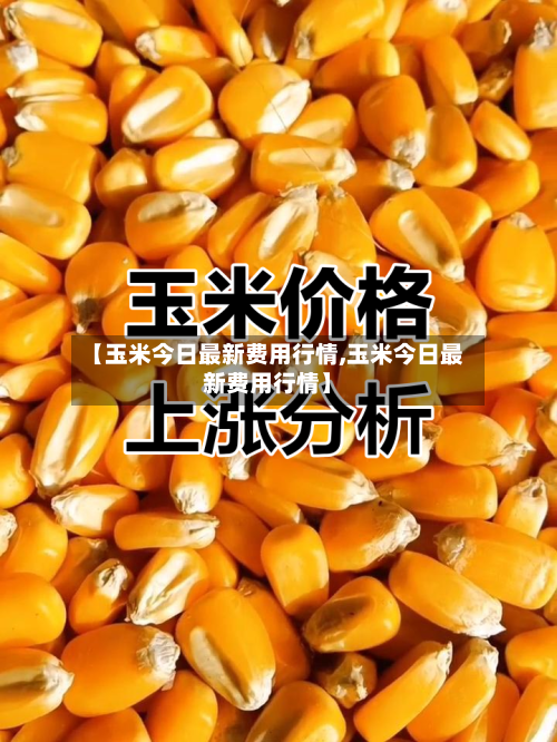 【玉米今日最新费用行情,玉米今日最新费用行情】-第1张图片