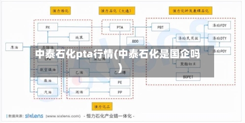 中泰石化pta行情(中泰石化是国企吗)-第1张图片