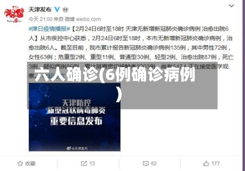 六人确诊(6例确诊病例)